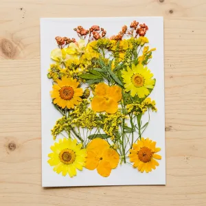 dried flowers for crafts, pressed flower crafts